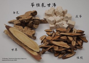 Ryokeijyutsukanto Poria, Cinnamon Twig, Atractylodes Macrocephala, and Licorice Decoction
