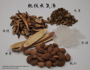 Peach Pit Decoction to Order the Qi